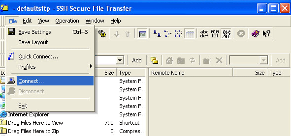 Selecting Connect from the File menu